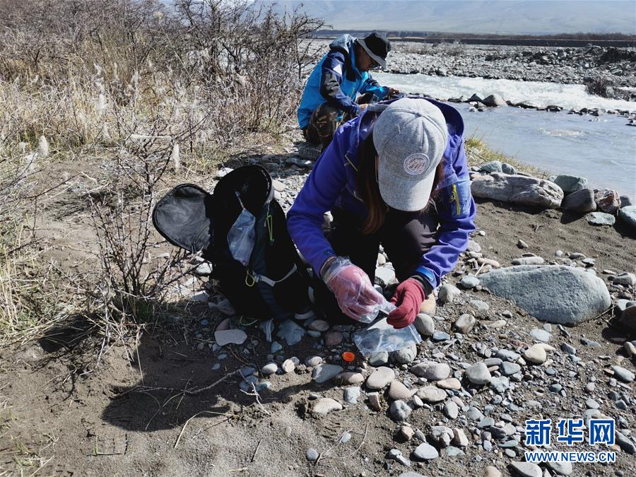（圖文互動）（2）祁連山國家公園首個荒漠貓專項(xiàng)調(diào)查取得階段性成果