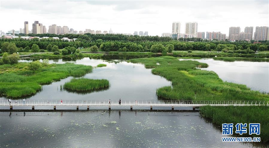 （走向我們的小康生活·圖文互動(dòng)）（1）水清、地綠、空氣新——最北省份黑龍江繪就生態(tài)治理新畫卷