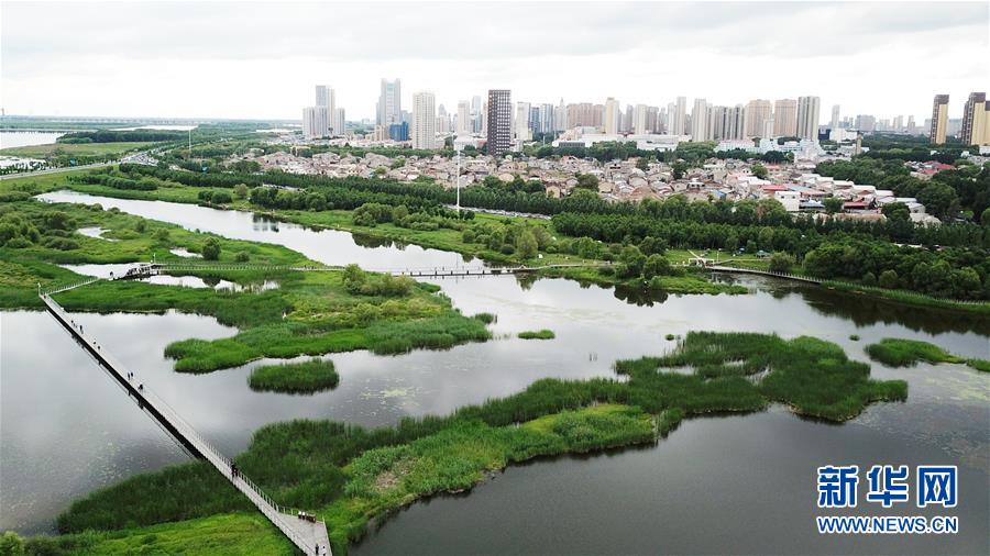 （走向我們的小康生活·圖文互動(dòng)）（2）水清、地綠、空氣新——最北省份黑龍江繪就生態(tài)治理新畫卷