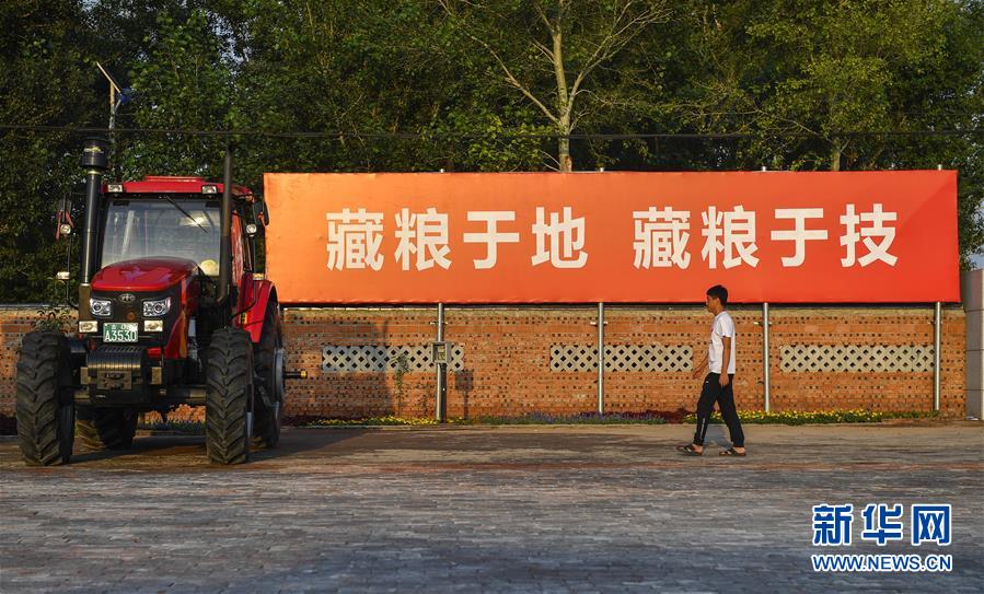 （在習近平新時代中國特色社會主義思想指引下——新時代新作為新篇章·習近平總書記關切事·圖文互動）（3）為黑土加“油”——“耕地中的大熊貓”，我們這樣保護