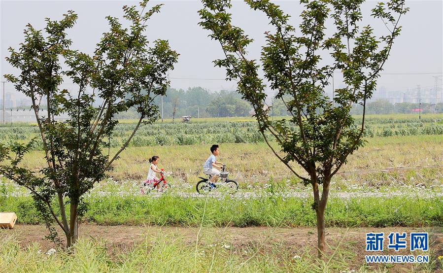 （新華全媒頭條·走向我們的小康生活·圖文互動）（14）城市，讓人民生活更美好