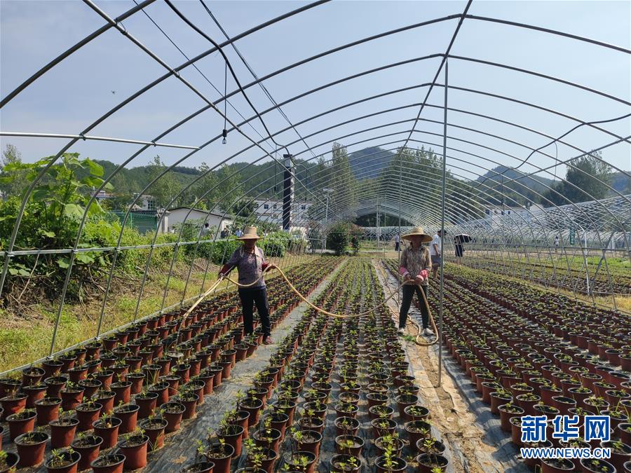 （決戰(zhàn)決勝脫貧攻堅·圖文互動）（3）安居樂業(yè)并重，搬遷脫貧同步——湖北88萬搬遷群眾脫貧觀察 