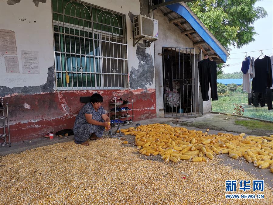 （新華視點(diǎn)·聚焦餐桌外的浪費(fèi)·圖文互動(dòng)）（3）農(nóng)戶儲(chǔ)糧損失達(dá)8%！設(shè)施普遍簡(jiǎn)陋，蟲(chóng)害霉變堪憂
