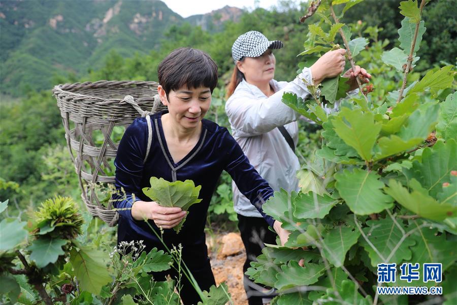 （新華全媒頭條·走向我們的小康生活·圖文互動(dòng)）（7）長(zhǎng)城腳下，小康村串成“珍珠鏈”
