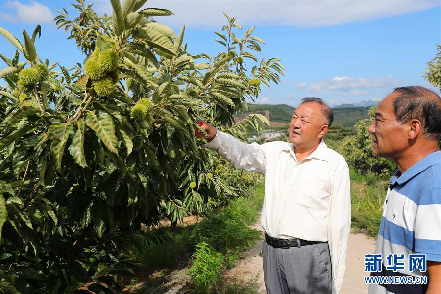 （新華全媒頭條·走向我們的小康生活·圖文互動(dòng)）（11）長(zhǎng)城腳下，小康村串成“珍珠鏈”