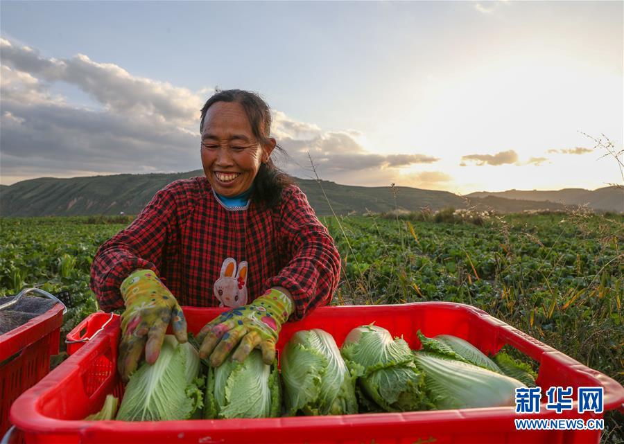 （新華全媒頭條·決戰(zhàn)決勝脫貧攻堅·督戰(zhàn)未摘帽貧困縣·圖文互動）（1）不獲全勝，決不收兵——全國52個掛牌督戰(zhàn)貧困縣脫貧攻堅紀(jì)實