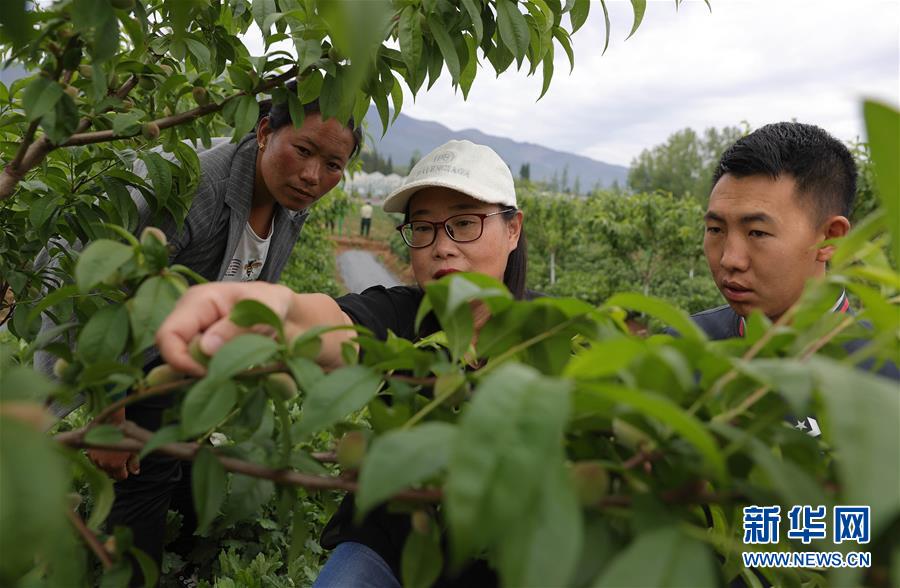 （決戰(zhàn)決勝脫貧攻堅(jiān)·督戰(zhàn)未摘帽貧困縣·圖文互動）（3）12000多個(gè)“火種”點(diǎn)亮大涼山