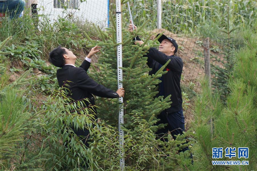 （決戰(zhàn)決勝脫貧攻堅·圖文互動）（2）甘肅定西黃土高坡上，有片“福州林”