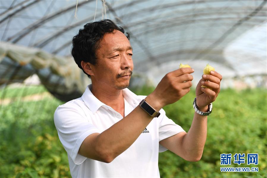 （新華全媒頭條·走向我們的小康生活·圖文互動(dòng)）（7）黑土地上是我家——在吉林，一瞥中國東北鄉(xiāng)村美麗未來