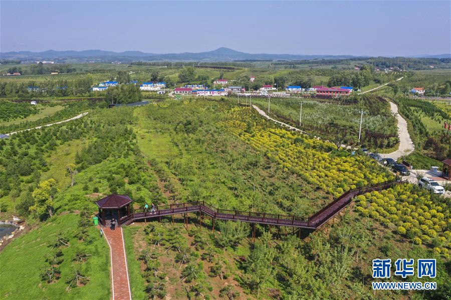 （新華全媒頭條·走向我們的小康生活·圖文互動(dòng)）（16）黑土地上是我家——在吉林，一瞥中國東北鄉(xiāng)村美麗未來
