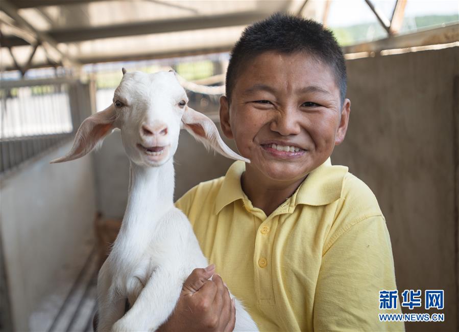 （新華全媒頭條·走向我們的小康生活·圖文互動）（5）特殊之年，荊楚大地書寫不平凡的答卷