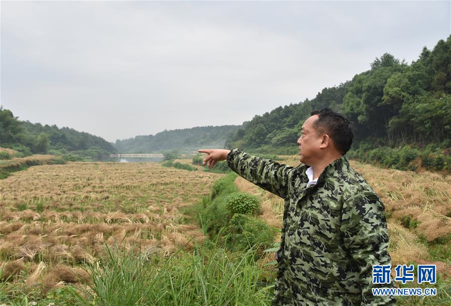 （代表委員履職·圖文互動(dòng)）（2）“我是農(nóng)民代表，始終關(guān)注農(nóng)村”——全國(guó)人大代表沈昌健的履職故事