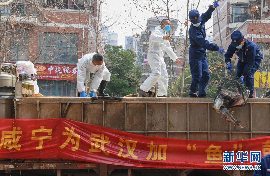 （新華全媒頭條·圖文互動）（12）從人民中汲取磅礴力量——習近平總書記同出席2020年全國兩會人大代表、政協(xié)委員共商國是紀實