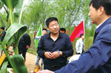 為民務(wù)實清廉的好干部