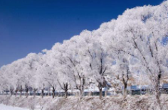 全國初雪時間表出爐 看看你離初雪還有多遠(yuǎn)？