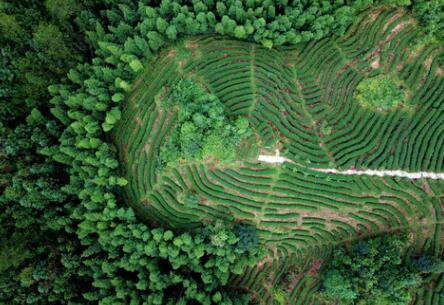 福建龍巖：高效用地，提升生態(tài)環(huán)境水平