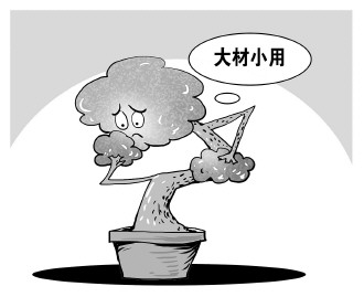 自認(rèn)&ldquo;大材小用&rdquo;，不如腳踏實(shí)地