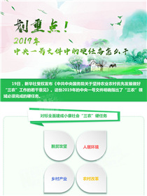 劃重點(diǎn)！2019年中央一號(hào)文件中的硬任務(wù)怎么干