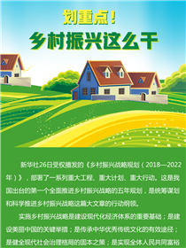 劃重點(diǎn)！鄉(xiāng)村振興這么干