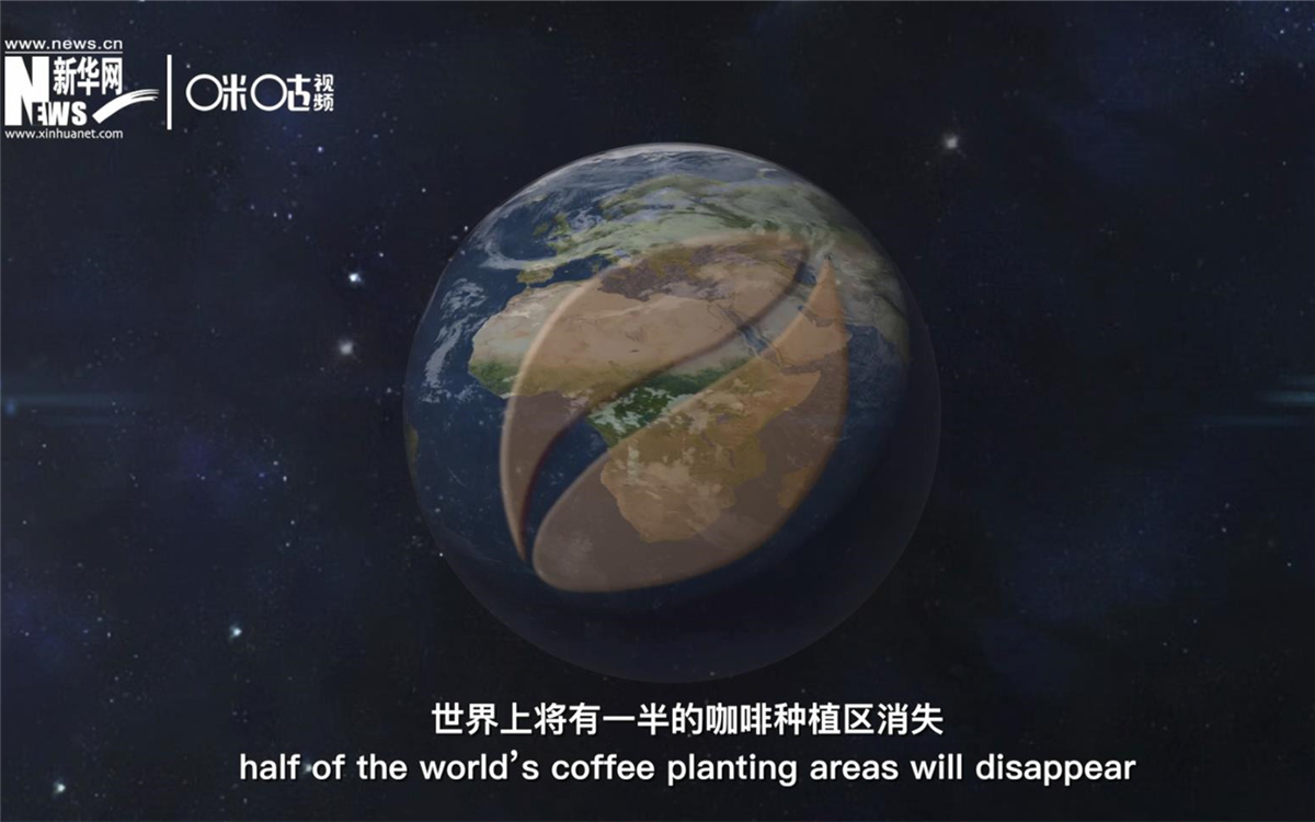 科學家預測到三十年后，世界上將有一半的咖啡種植區(qū)消失