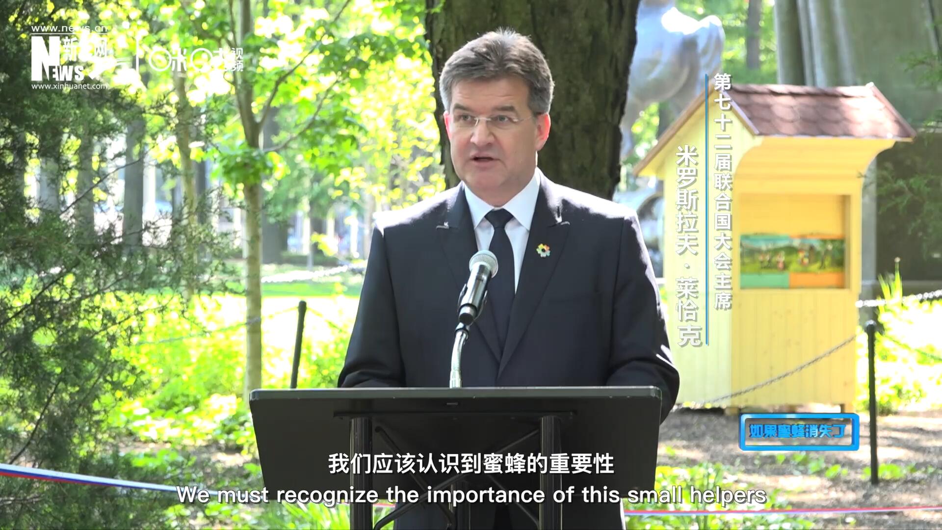 我們應(yīng)該認(rèn)識(shí)到蜜蜂的重要性，所以我們用“世界蜜蜂日”提高大家保護(hù)蜜蜂的意識(shí)，并且用實(shí)際行動(dòng)去保護(hù)蜜蜂
