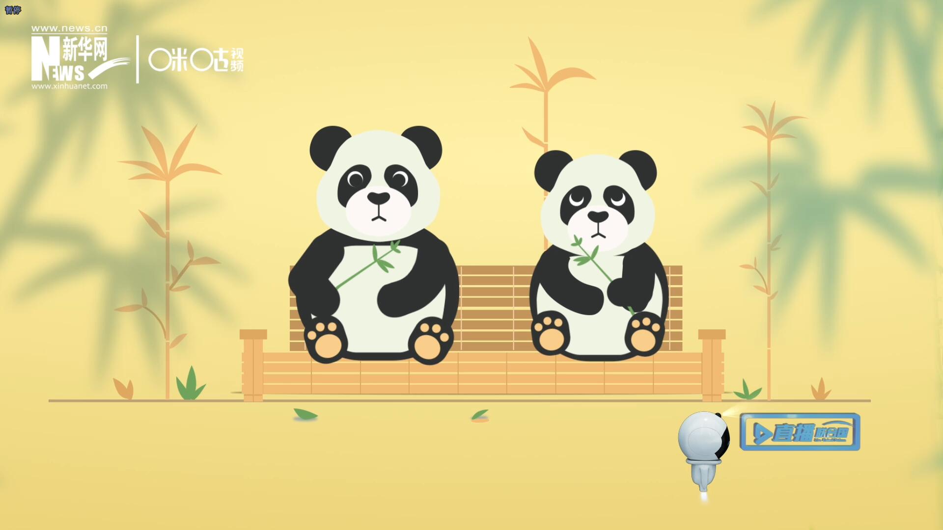 “哥哥你看，又有人來(lái)看我們了。”“有什么奇怪的，我們可是聯(lián)合國(guó)‘最萌’的大使啊！”。
