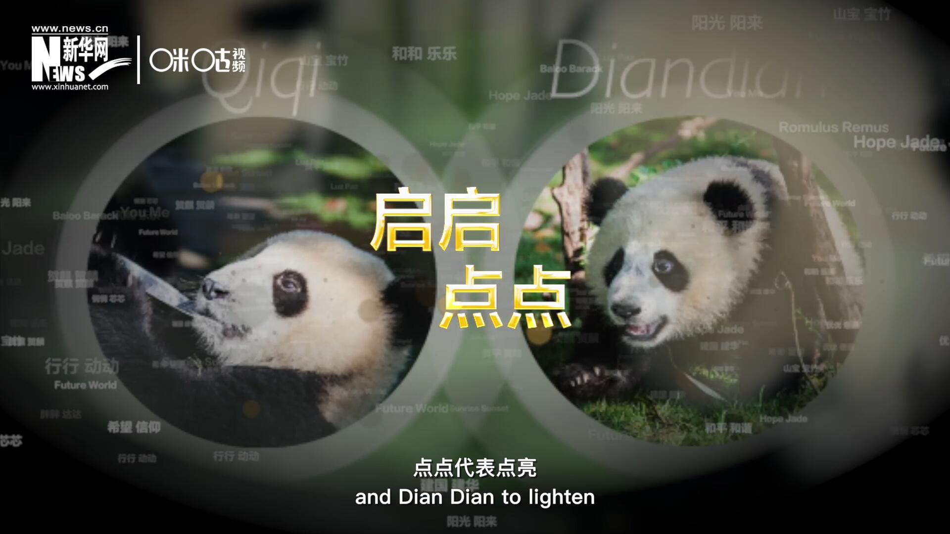 啟啟代表“啟發(fā)”，點(diǎn)點(diǎn)代表“點(diǎn)亮”，象征著2030年可持續(xù)發(fā)展議程 的“起點(diǎn)”，也象征著全球可持續(xù)發(fā)展路徑的新起點(diǎn)。