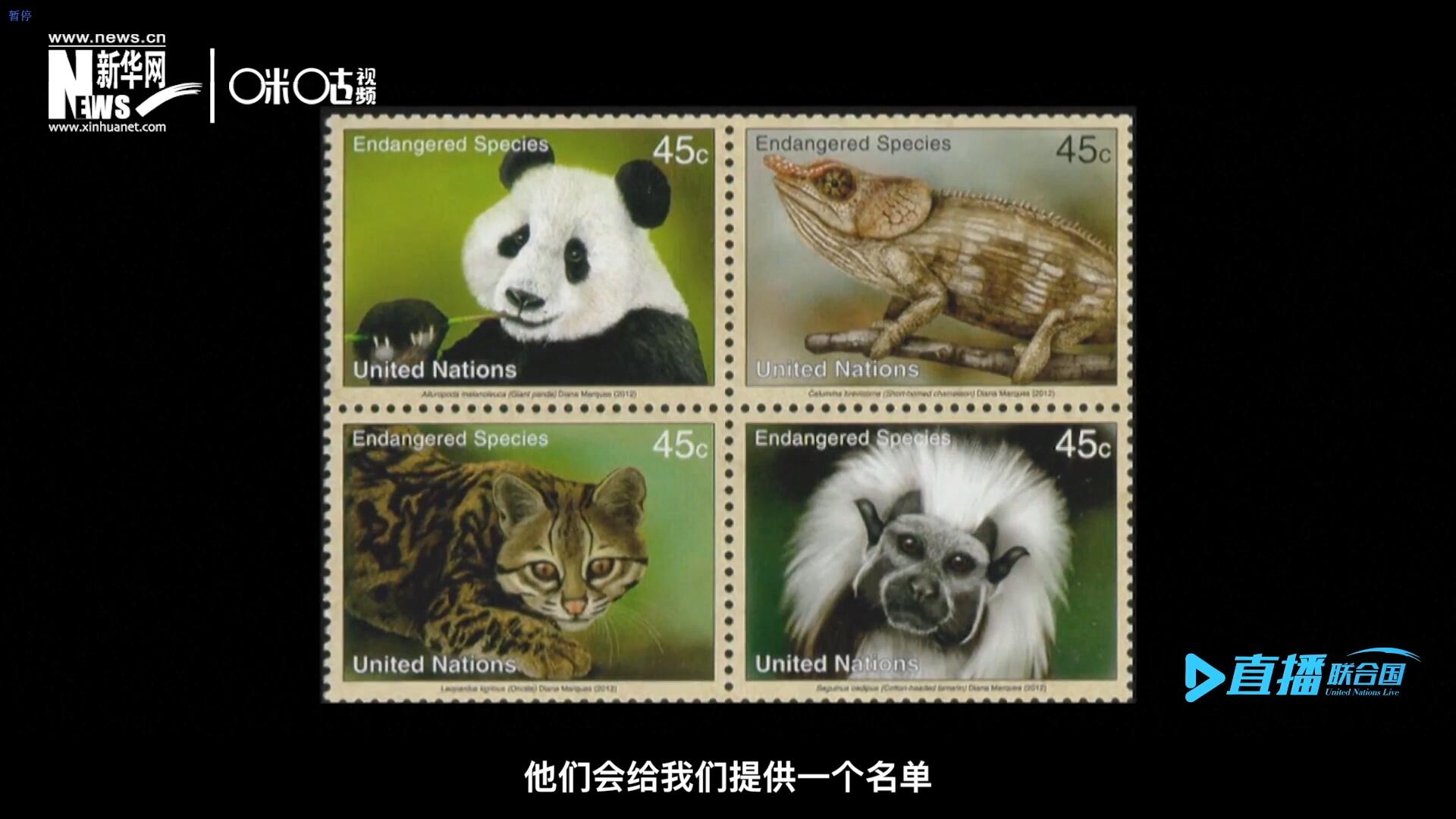 CITES（瀕危野生動植物種國際貿(mào)易公約）會給聯(lián)合國郵政設計師提供一個名單，雙方共同合作在附錄中找到名單中應該受到關注的動物。