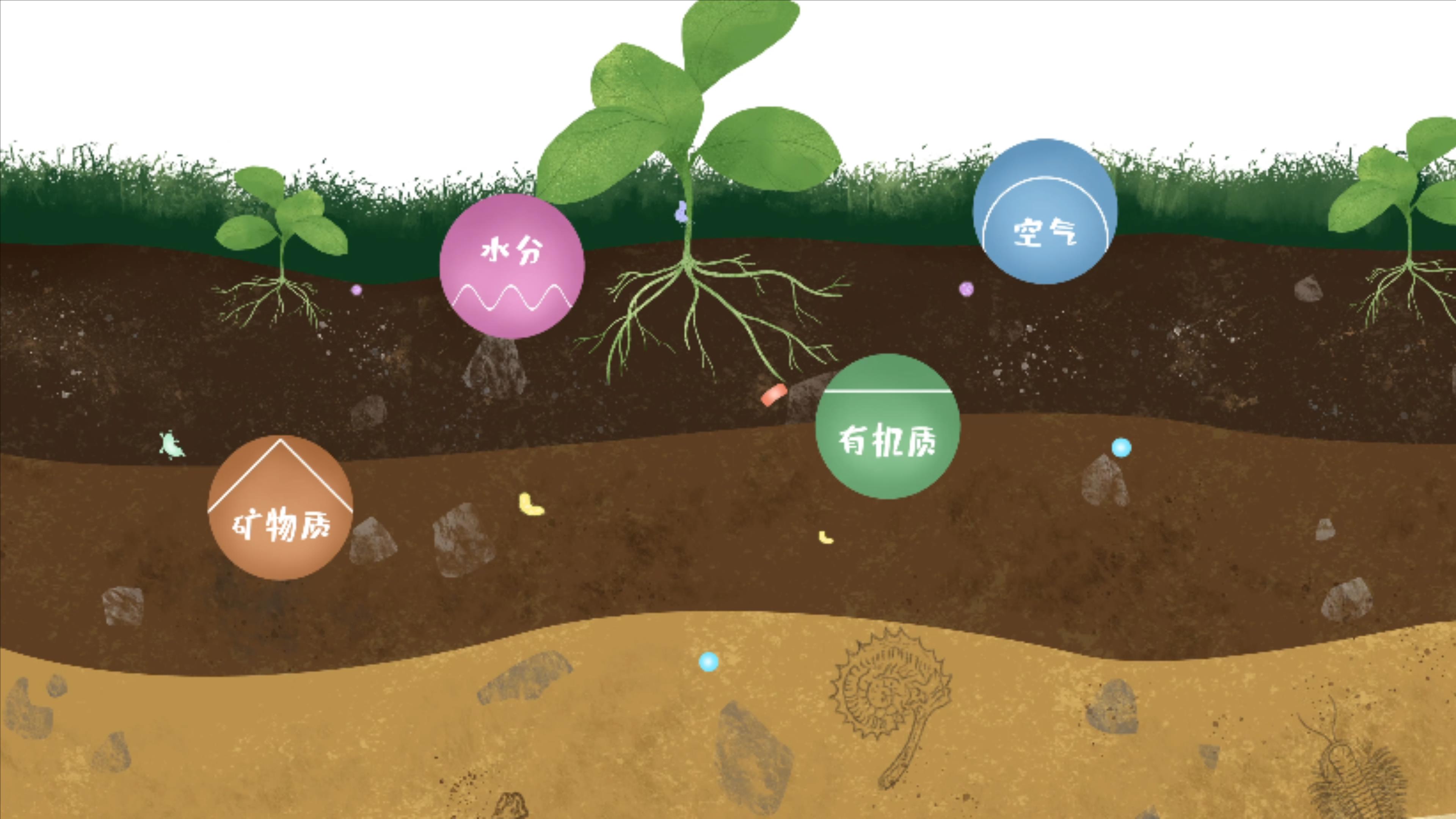 土壤由礦物質(zhì)、有機(jī)質(zhì)、水分、空氣及包括微生物在內(nèi)的生物體等組成