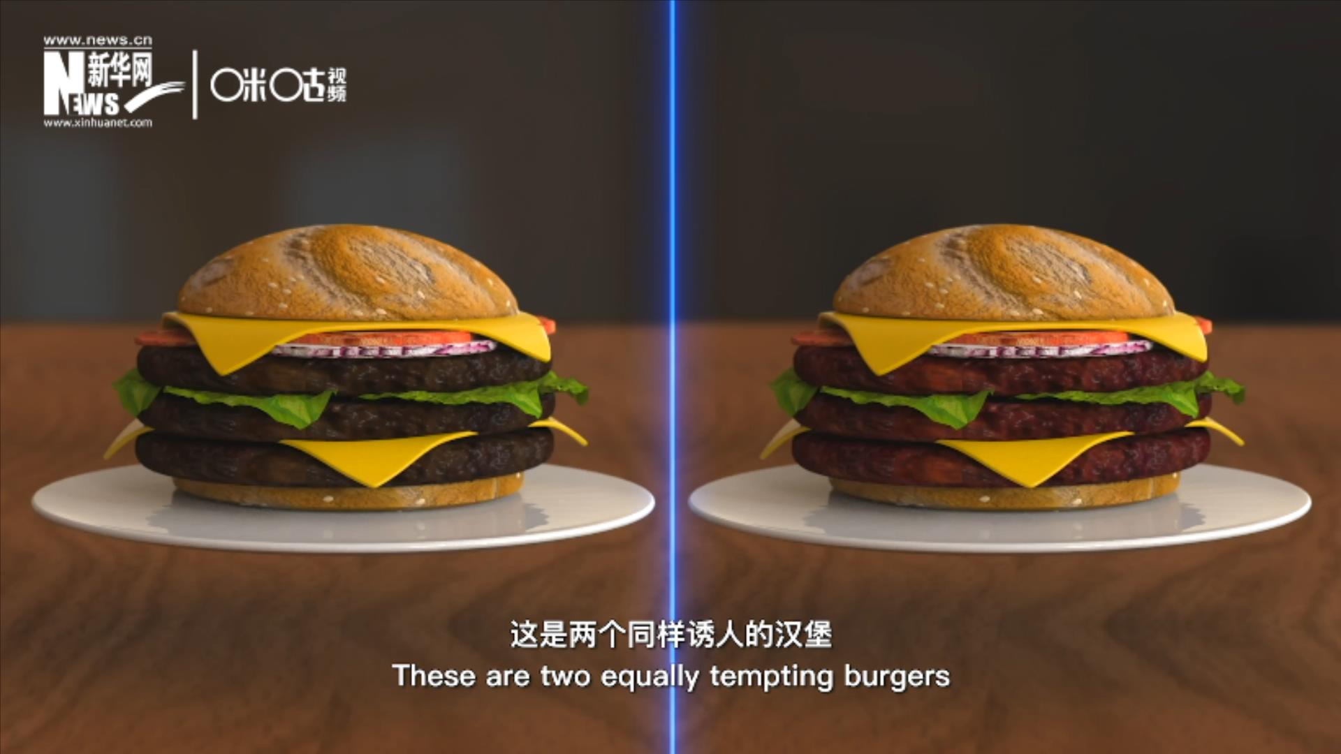 人造肉漢堡能在生產(chǎn)過程中節(jié)約水、土地、排放以及能量