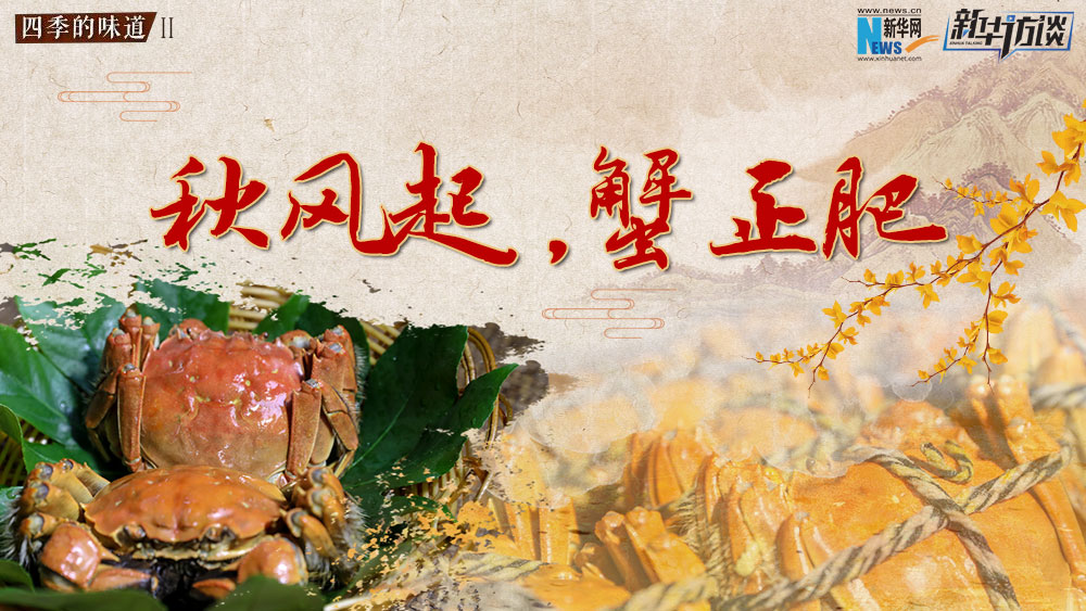 秋風起，蟹正肥