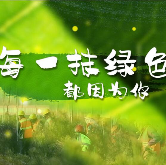 千年秀林，每一抹綠色都因?yàn)槟? /></a>       
<div   id=