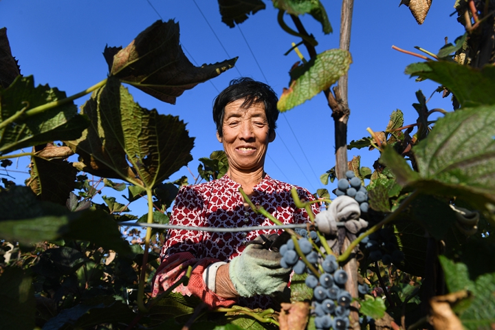鏗鏘的時(shí)代樂(lè)章——黨的十八大以來(lái)習(xí)近平 總書記考察調(diào)研過(guò)的貧困村脫貧調(diào)查