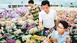 臺(tái)商眼中的改革開放：風(fēng)景這邊獨(dú)好 要去，要去，要去！