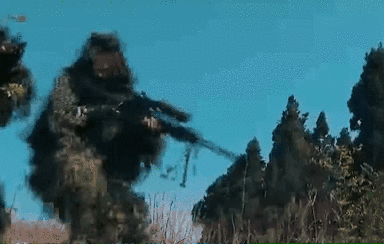 突入，擊斃！直擊武警特戰(zhàn)反劫持演練！
