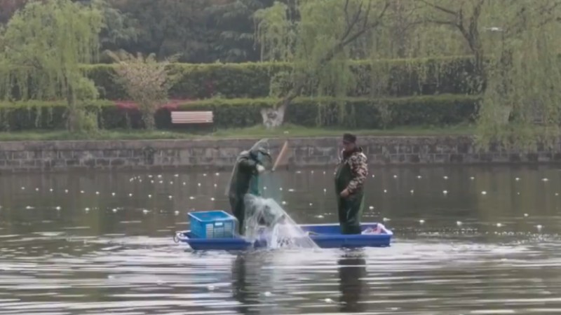 別人家的學(xué)校！安師大請(qǐng)師生吃一萬斤魚