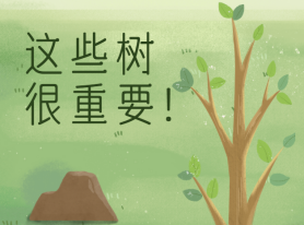 這些樹(shù)很重要！