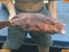 [新聞1+1] 走，南沙捕魚去！