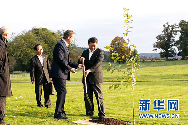 兩國領導人一同在別墅草坪，共同種下象征中英友誼的橡樹。新華社記者 鞠鵬 攝