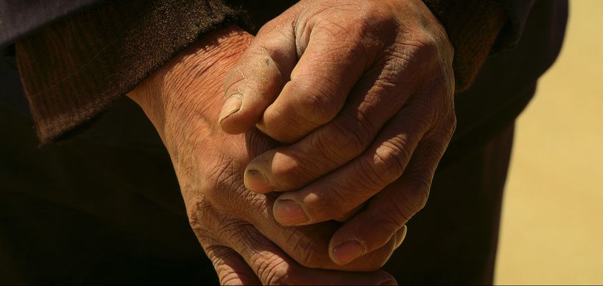 正式發(fā)布！《攜手，為人民》中國共產(chǎn)黨與世界政黨領(lǐng)導(dǎo)人峰會暖場片